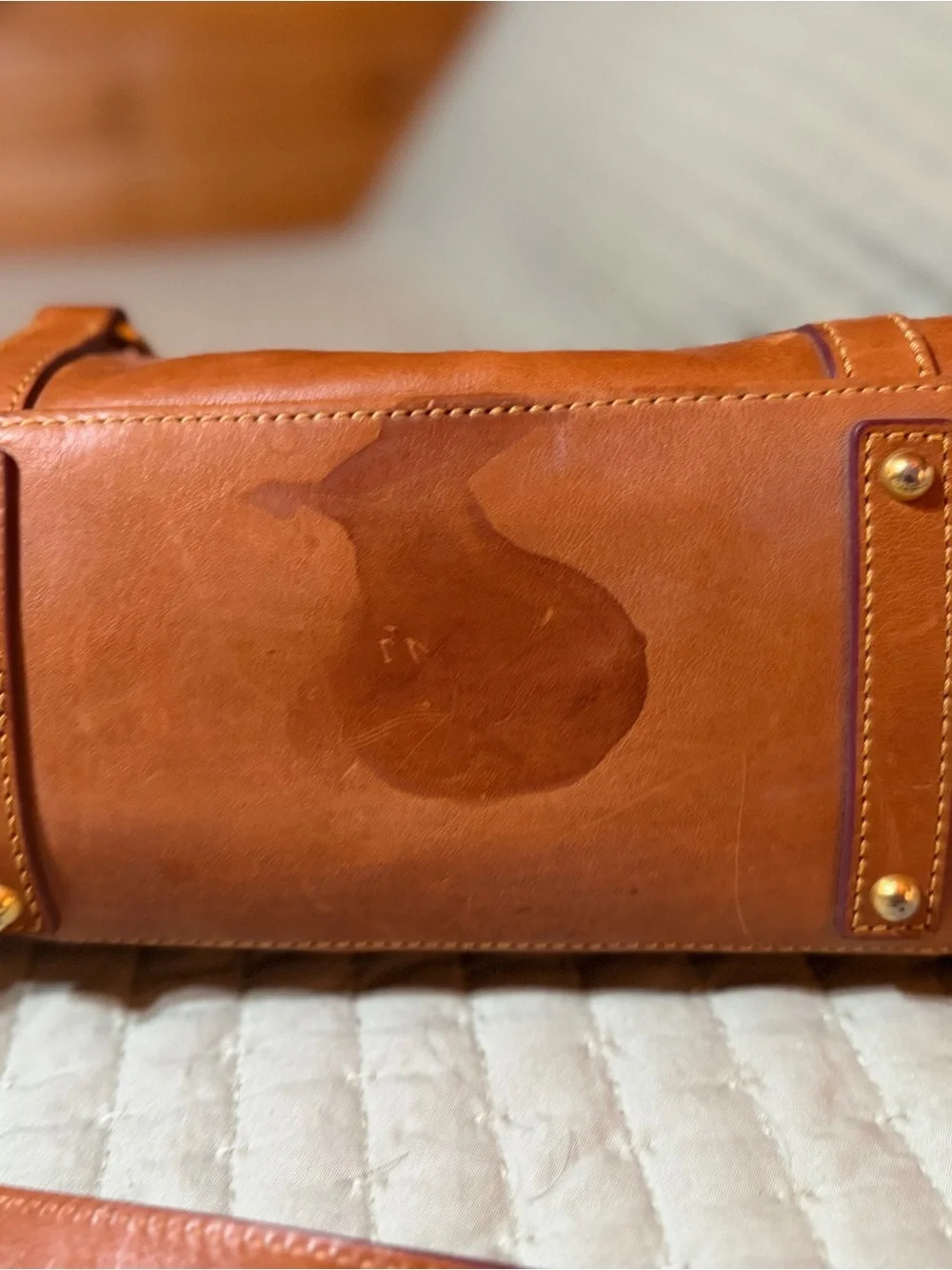Dooney & Bourke Cognac Leather Satchel with Tassel